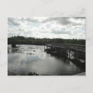 Everglades Postcard Postkarte
