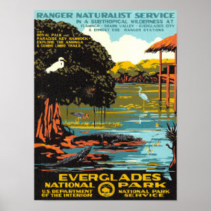 Everglades Poster