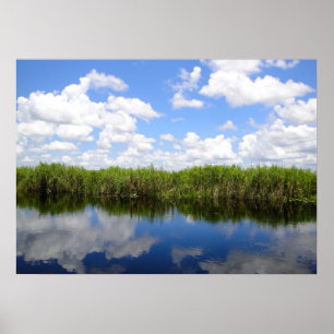 Everglades Poster