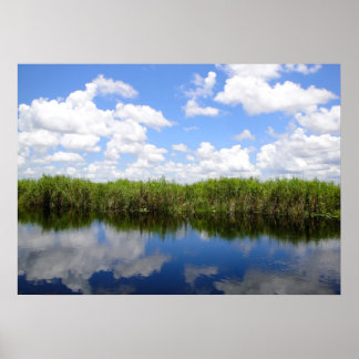 Everglades Poster