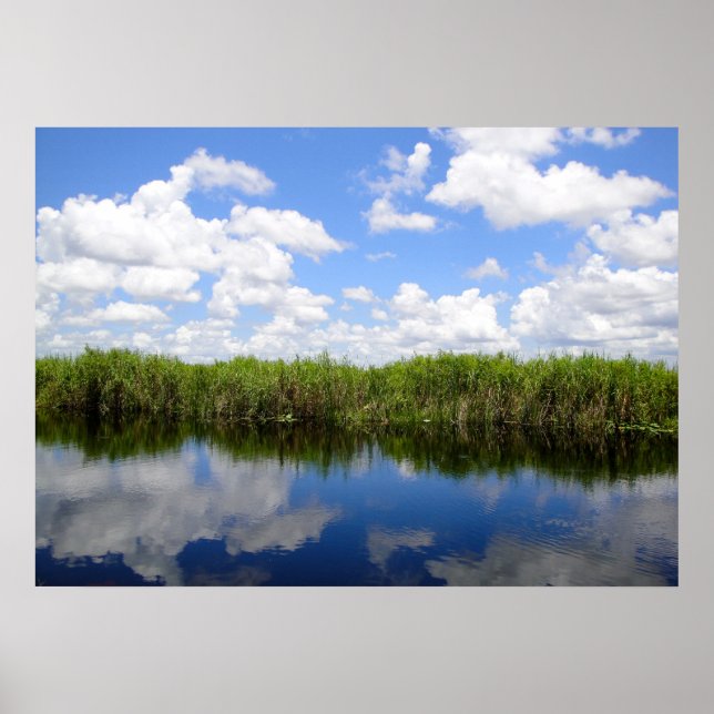 Everglades Poster (Vorne)