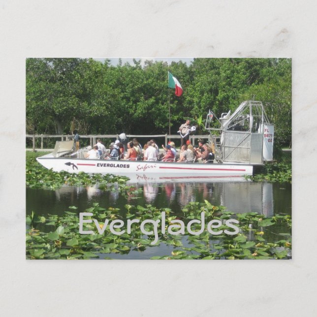 Everglades Postkarte (Vorderseite)