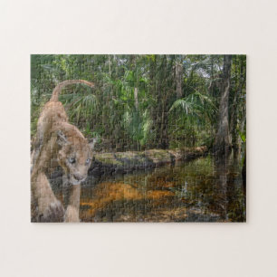 Everglades Puma Puzzle