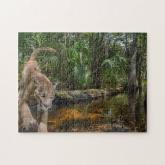 Everglades Puma Puzzle
