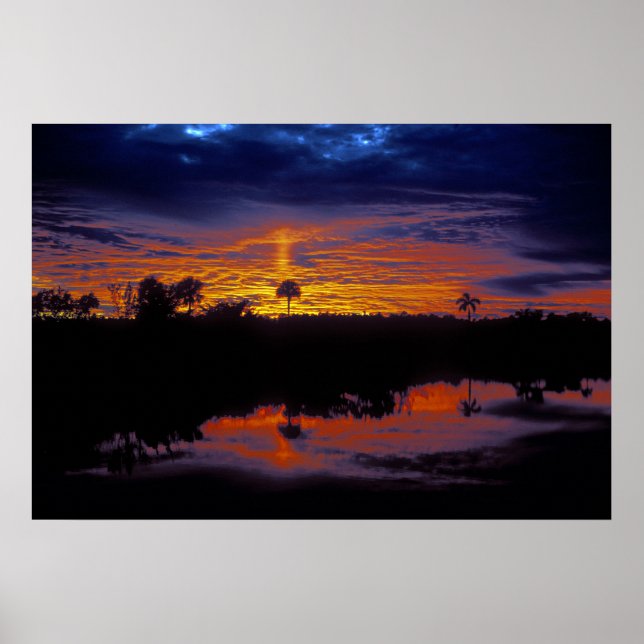 Everglades Sunset Poster (Vorne)