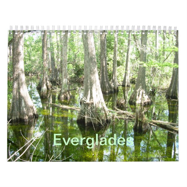 Everglades Wall Calendar Kalender (Titelbild)