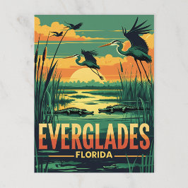 Everglades Wildlife Sunset Postkarte