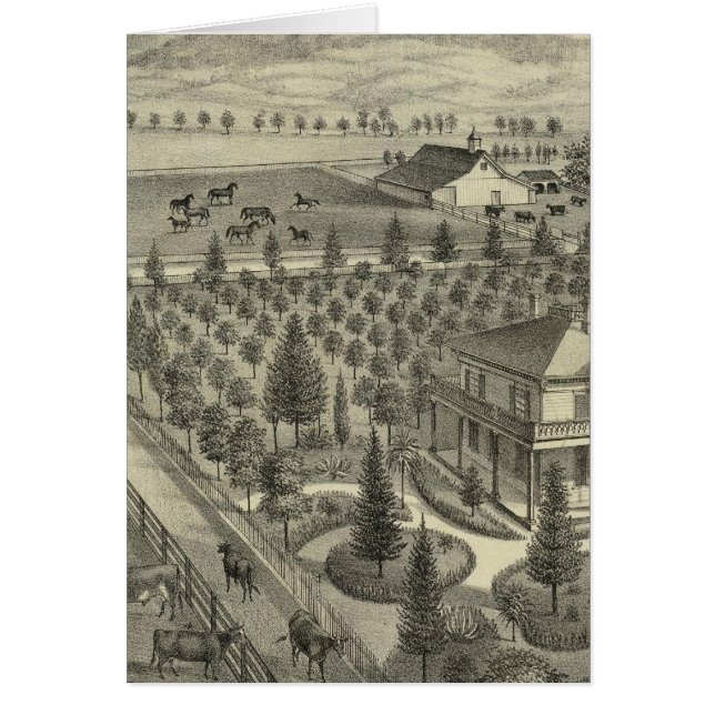 Evergreen Ave Farm (Vorne)