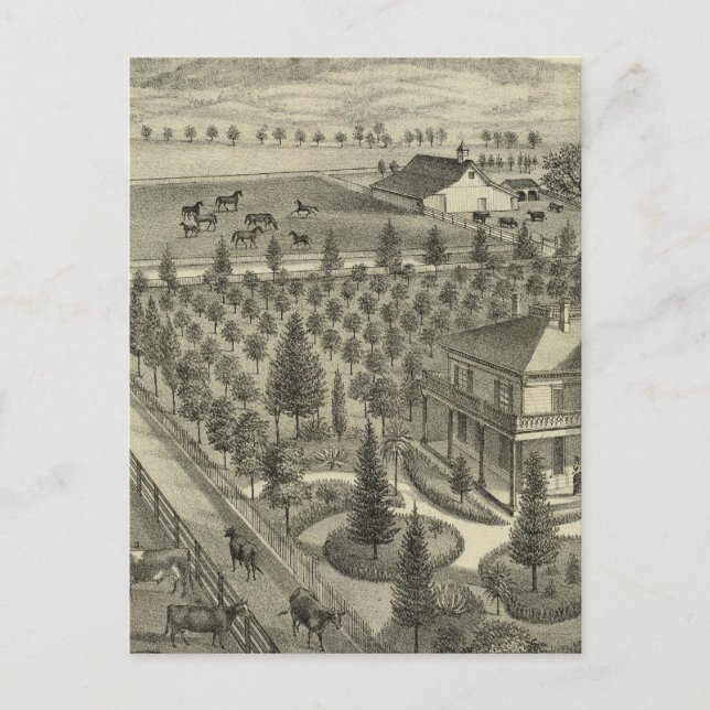 Evergreen Ave Farm Postkarte (Vorderseite)