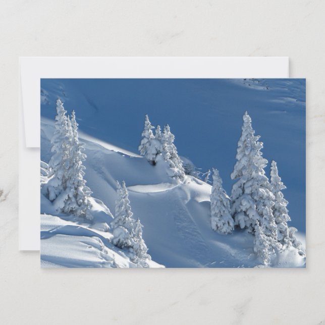 Evergreen Firs bedeckt mit Winterschnee (Vorderseite)