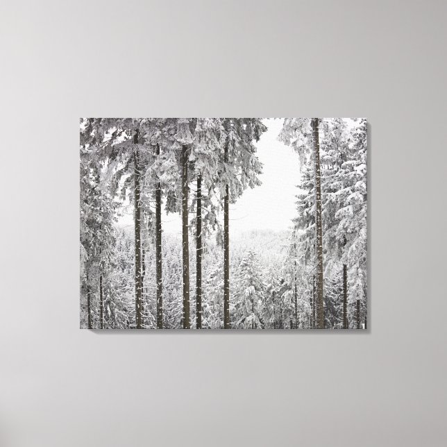 Evergreen forest im Winter Leinwanddruck (Vorderseite)
