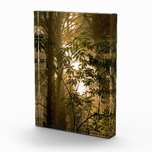 Evergreen Forest   Oregon Coast Fotoblock