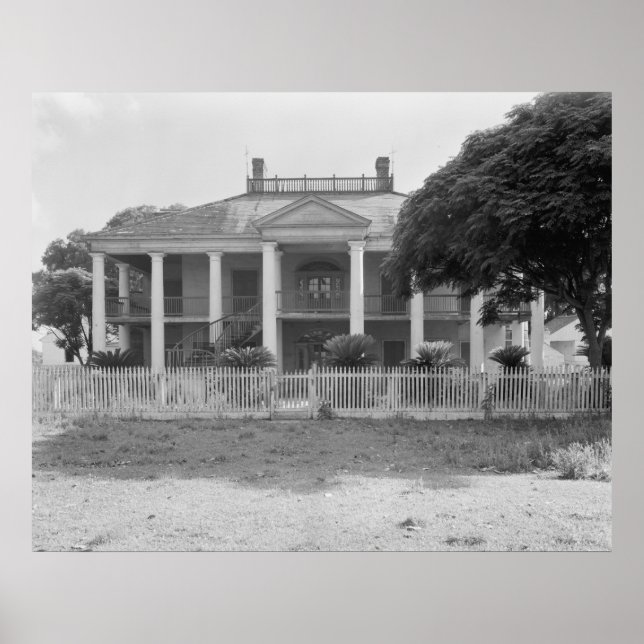 Evergreen Plantation Poster (Vorne)