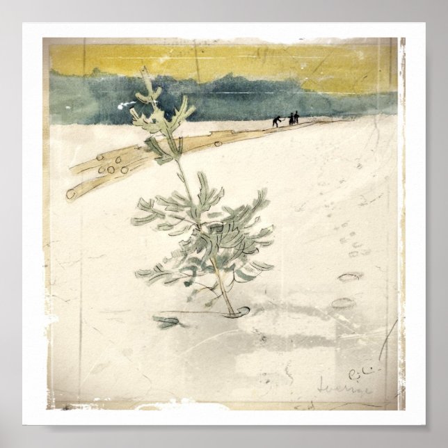 Evergreen Poster (Vorne)