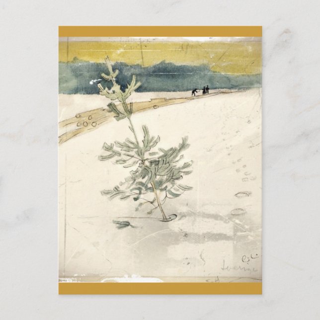 Evergreen Postkarte (Vorderseite)