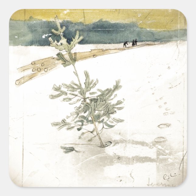 Evergreen Quadratischer Aufkleber (Vorderseite)