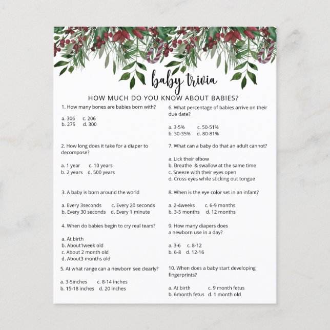 Evergreen Snow Baby Trivia | Baby Showspiel (Vorderseite)