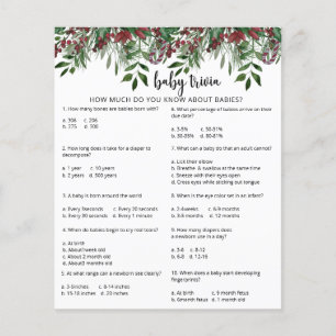 Evergreen Snow Baby Trivia Baby Showspiel