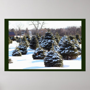 Evergreen Trees mit Snow Poster
