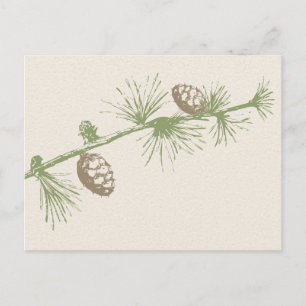 Evergreen UAWG Postcard Einladungspostkarte