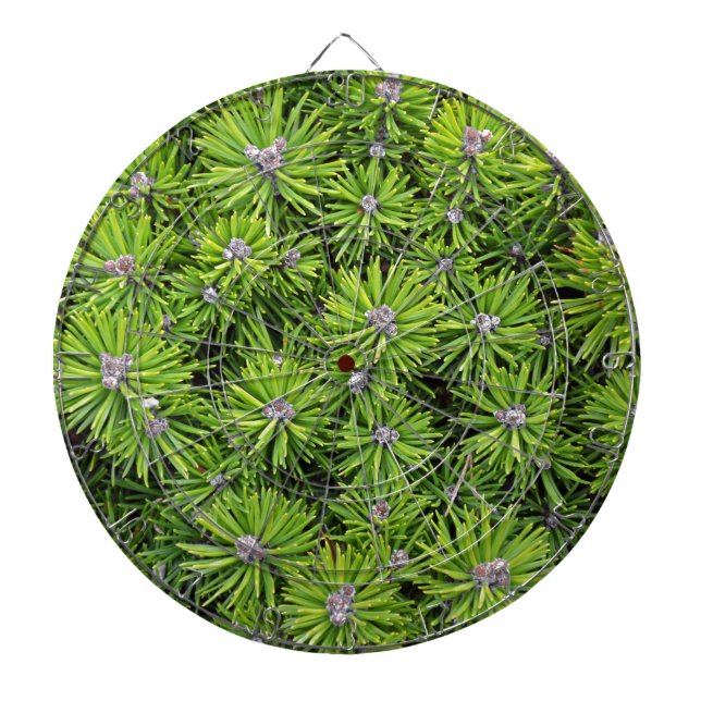 Evergreen Zweige Dartscheibe (vorne)