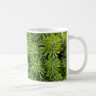 Evergreen Zweige Tasse