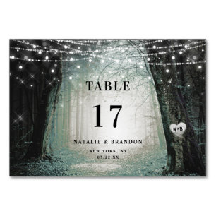 Evermore Bezauberter Fairy Forest Moss Wedding Tischnummer