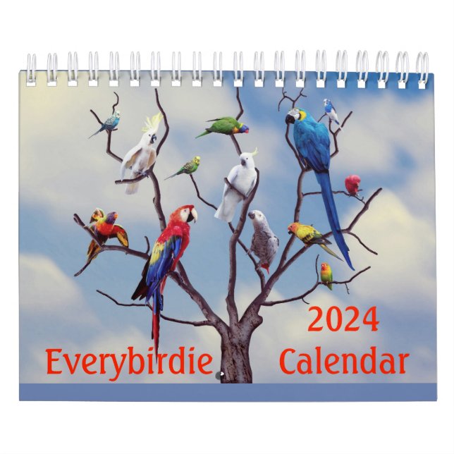 Everybirdie 2024 Calendar Kalender (Titelbild)