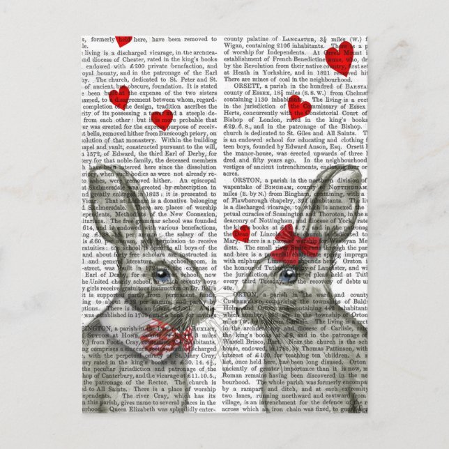 Everybunny Postkarte (Vorderseite)