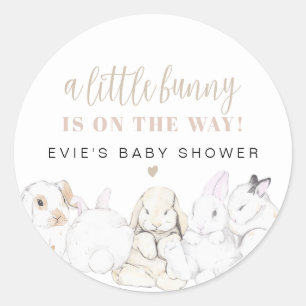 EVIE Niedlich Pastel Watercolor Bunny Baby Shower Runder Aufkleber