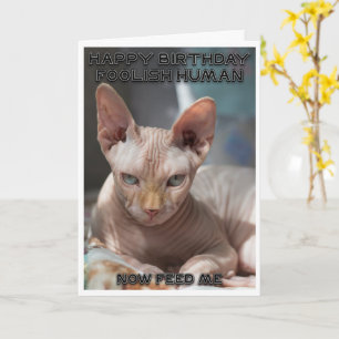 Evil cat Birthday card Karte