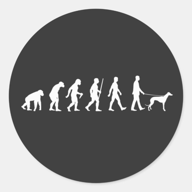 Evolution an den Greyhound-Eigentümer Runder Aufkleber (Vorderseite)