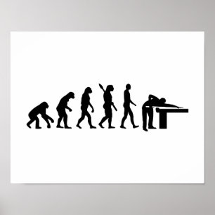 Evolution Billiards Poster