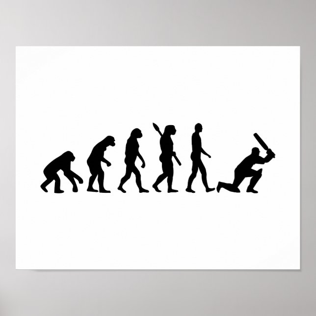 Evolution Cricket Poster (Vorne)