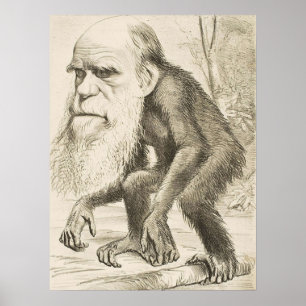 EVOLUTION DARWIN Charles Robert Darwin 1871 carica Poster