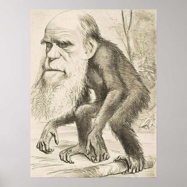 EVOLUTION DARWIN Charles Robert Darwin 1871 carica Poster (Vorne)