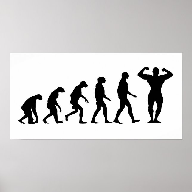 Evolution der Bodybuilding Poster (Vorne)