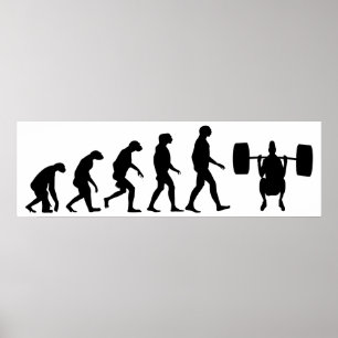 Evolution der Gewichtszunahme Poster