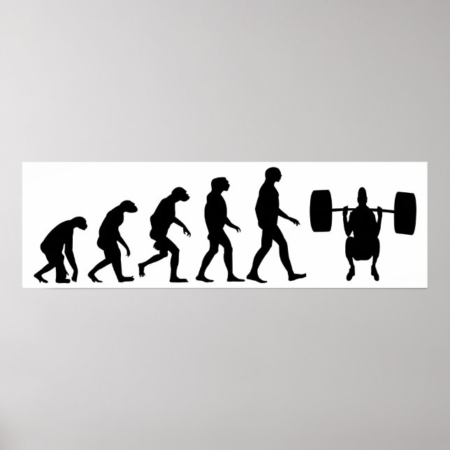 Evolution der Gewichtszunahme Poster (Vorne)