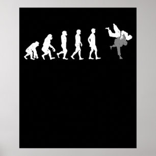 Evolution der Kampfkunst des Menschen Funny MIXED  Poster