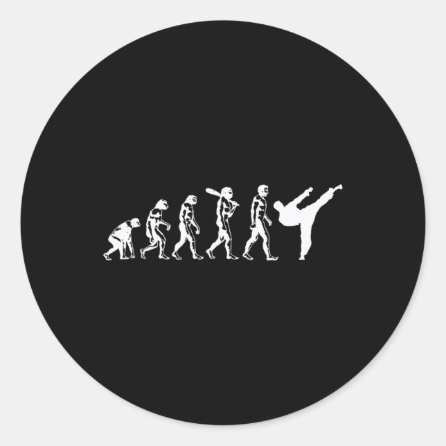 Evolution der Karate-Kampfsportarten Kickboxen Tae Runder Aufkleber (Vorderseite)