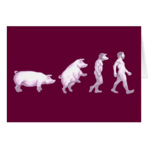 Evolution der Männer