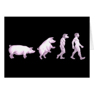 Evolution der Schweine