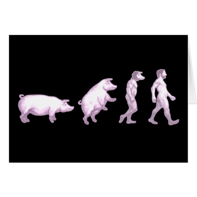 Evolution der Schweine (Vorderseite (Horizontal))