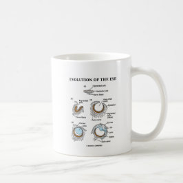 Evolution des Auges Tasse
