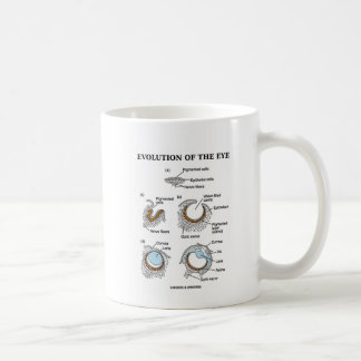 Evolution des Auges Tasse