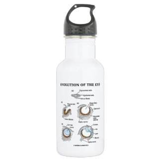 Evolution des Auges Trinkflasche
