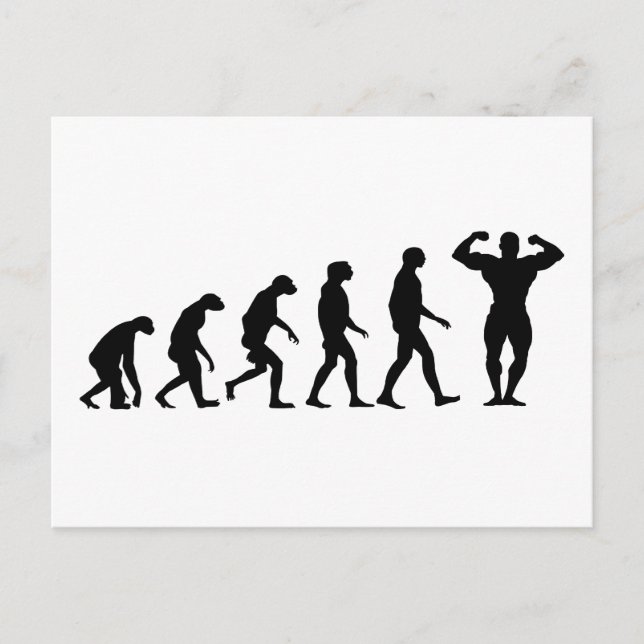 Evolution des Bodybuildings Postkarte (Vorderseite)