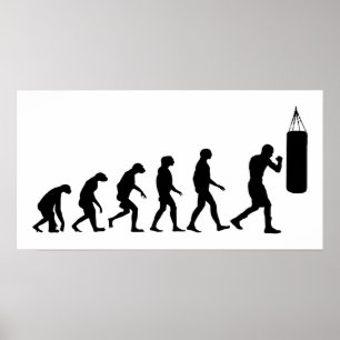 Evolution des Boxens Poster