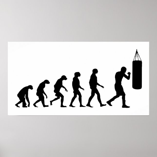 Evolution des Boxens Poster (Vorne)